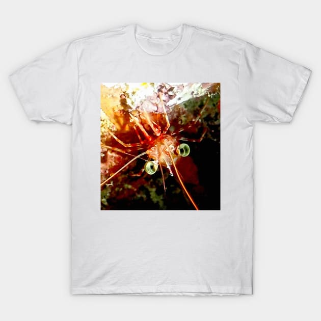 Red Night Shrimp T-Shirt by Scubagirlamy